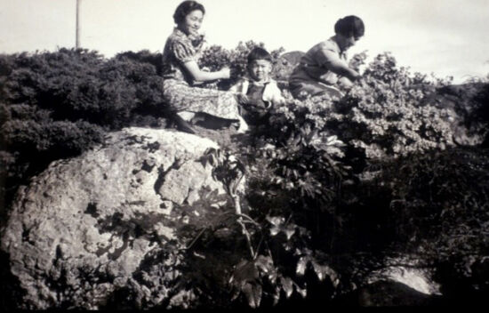 The South Garden in the 1930s
