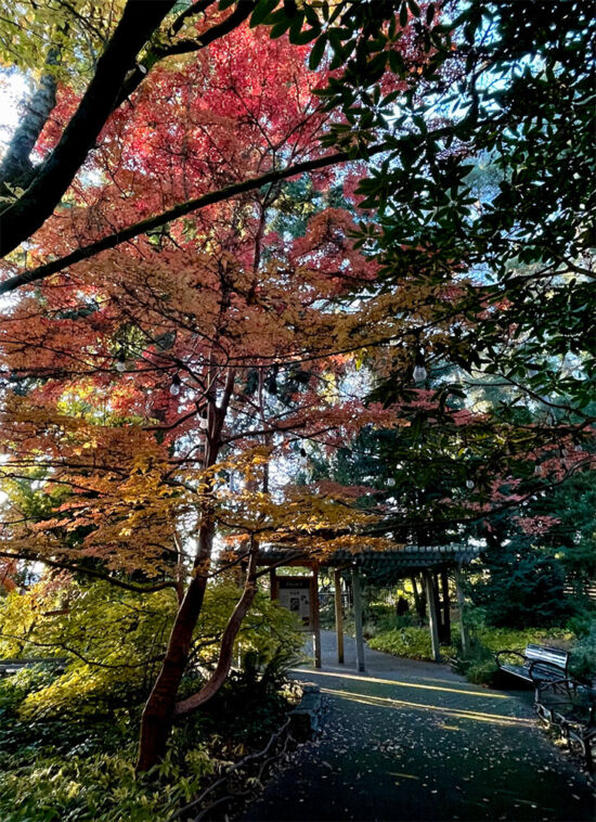 The garden entrance in autumn