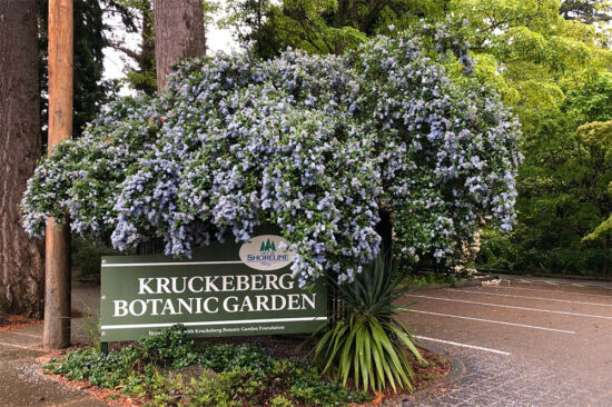 Garden entrance sign