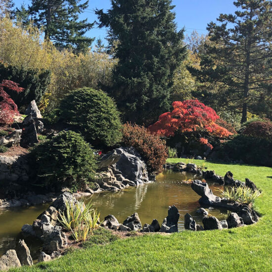 The garden in October