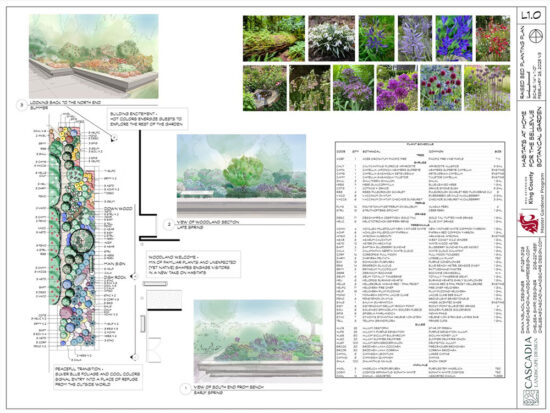 Watercolor rendering of the raised Habitats at Home bed in spring, with layered green and purple plants and a stone water basin.