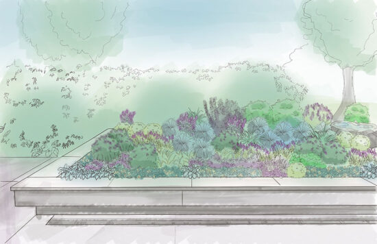 Cascadia Landscape Design board showing the long planting plan, three watercolor garden views, plant photos and plant schedule.