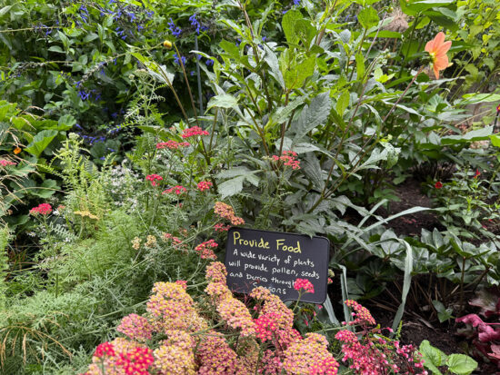 Pink and yellow flowers mixed with varied foliage around a small sign explaining how habitat gardens provide food.